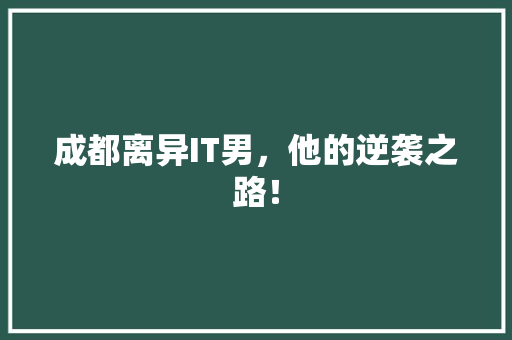 成都离异IT男，他的逆袭之路！ 神马SEO