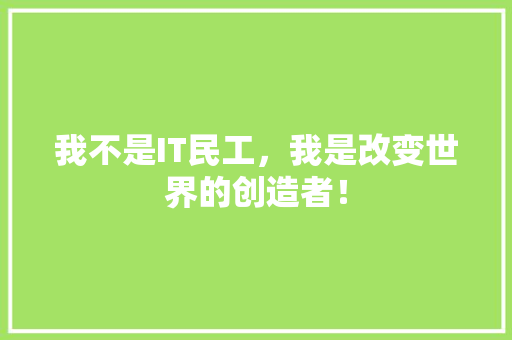 我不是IT民工，我是改变世界的创造者！ GoogleSEO