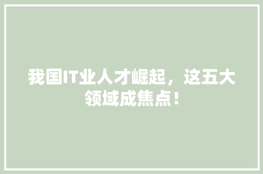 我国IT业人才崛起，这五大领域成焦点！ 神马SEO