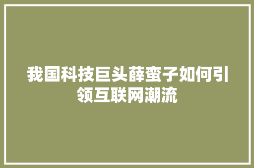 我国科技巨头薛蛮子如何引领互联网潮流 GoogleSEO