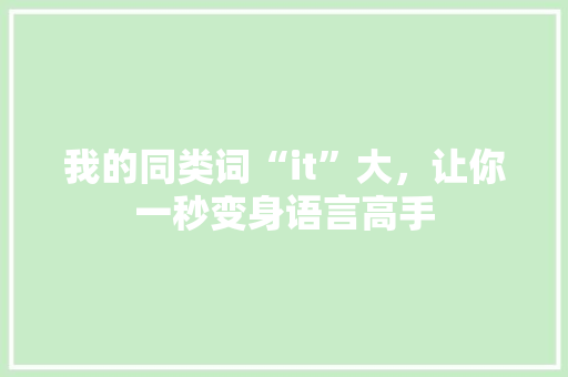 我的同类词“it”大，让你一秒变身语言高手 GoogleSEO