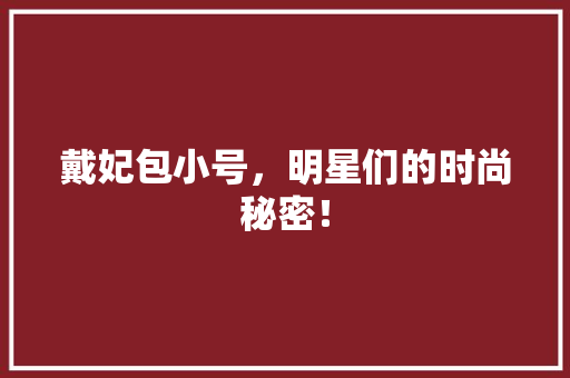戴妃包小号，明星们的时尚秘密！ 百度SEO