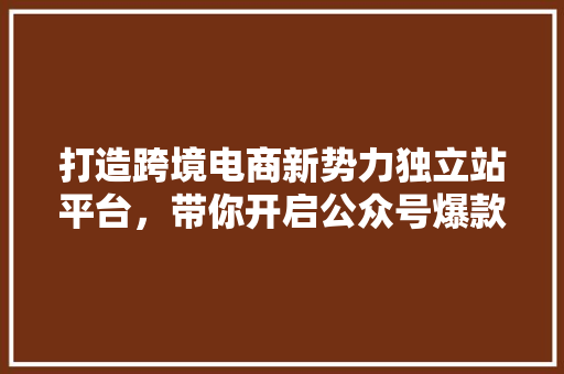 打造跨境电商新势力独立站平台，带你开启公众号爆款之旅 必应SEO