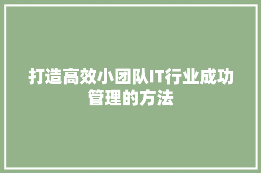 打造高效小团队IT行业成功管理的方法 神马SEO