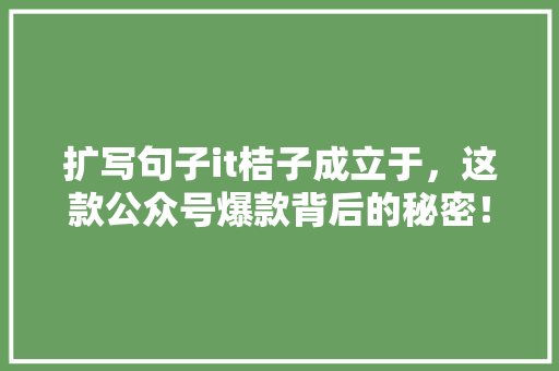 扩写句子it桔子成立于，这款公众号爆款背后的秘密！ GoogleSEO