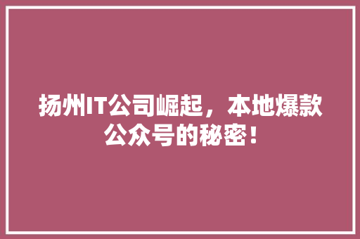 扬州IT公司崛起，本地爆款公众号的秘密！ 神马SEO