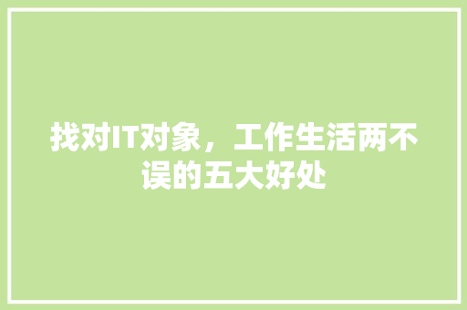 找对IT对象，工作生活两不误的五大好处 搜狗SEO