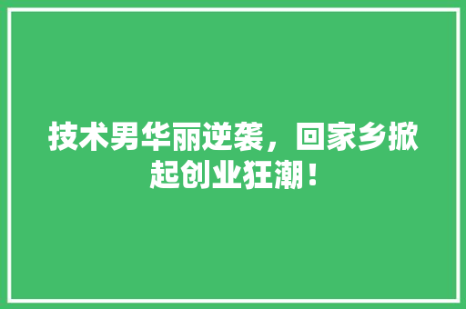 技术男华丽逆袭，回家乡掀起创业狂潮！ GoogleSEO