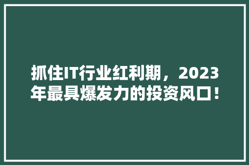 抓住IT行业红利期，2023年最具爆发力的投资风口！ 神马SEO