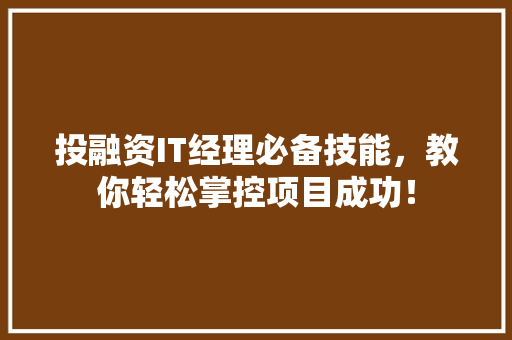 投融资IT经理必备技能，教你轻松掌控项目成功！ 神马SEO