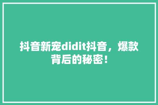 抖音新宠didit抖音，爆款背后的秘密！ 搜狗SEO