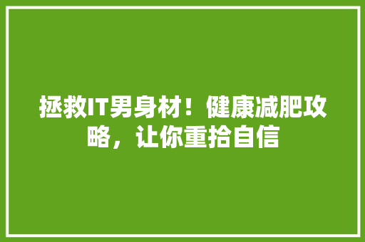 拯救IT男身材！健康减肥攻略，让你重拾自信 GoogleSEO