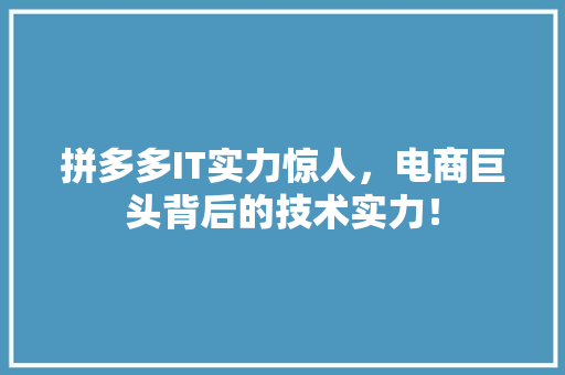 拼多多IT实力惊人，电商巨头背后的技术实力！ 必应SEO