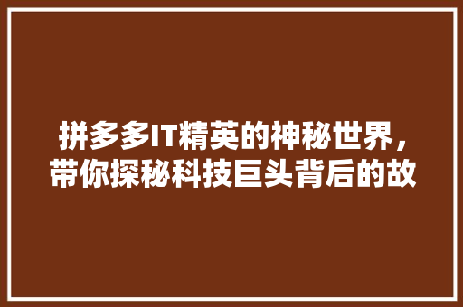 拼多多IT精英的神秘世界，带你探秘科技巨头背后的故事！ GoogleSEO