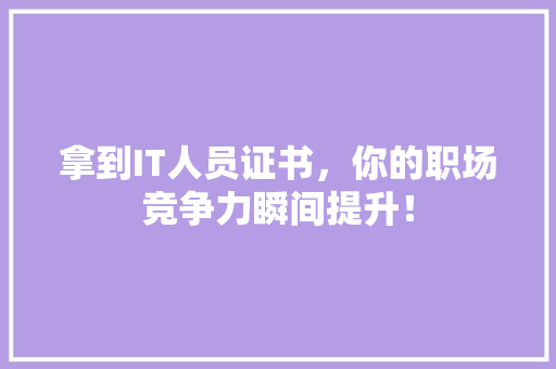 拿到IT人员证书，你的职场竞争力瞬间提升！ GoogleSEO