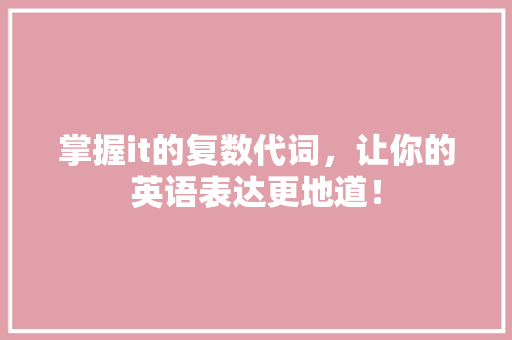 掌握it的复数代词，让你的英语表达更地道！ GoogleSEO