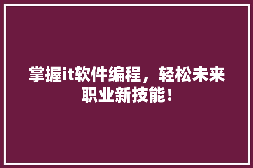 掌握it软件编程，轻松未来职业新技能！ 必应SEO