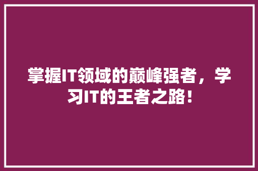 掌握IT领域的巅峰强者，学习IT的王者之路！ GoogleSEO