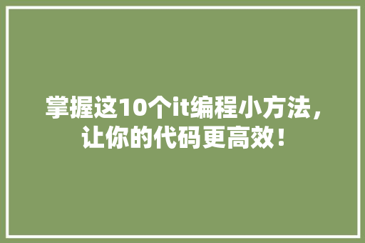掌握这10个it编程小方法，让你的代码更高效！ GoogleSEO
