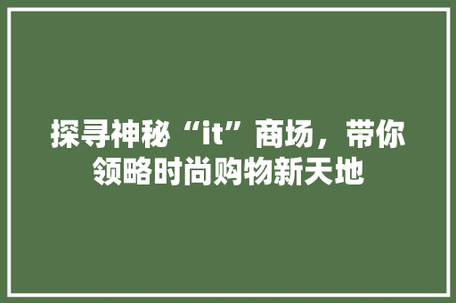 探寻神秘“it”商场，带你领略时尚购物新天地 百度SEO