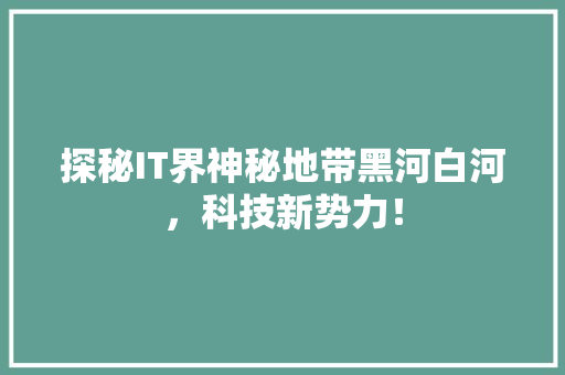 探秘IT界神秘地带黑河白河，科技新势力！ 百度SEO