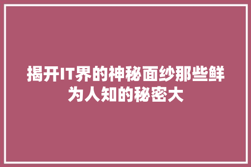 揭开IT界的神秘面纱那些鲜为人知的秘密大 搜狗SEO
