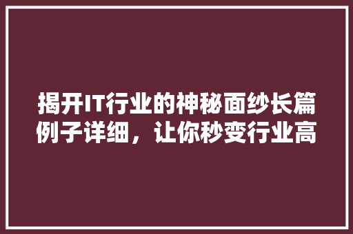 揭开IT行业的神秘面纱长篇例子详细，让你秒变行业高手！ 搜狗SEO