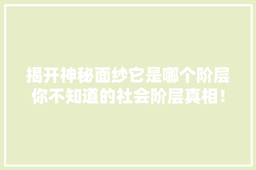 揭开神秘面纱它是哪个阶层你不知道的社会阶层真相！ 必应SEO