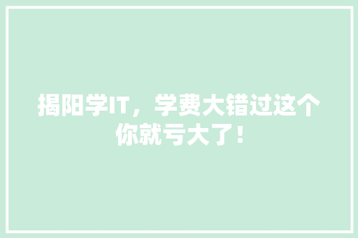 揭阳学IT，学费大错过这个你就亏大了！ 必应SEO