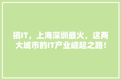 搞IT，上海深圳最火，这两大城市的IT产业崛起之路！ 神马SEO