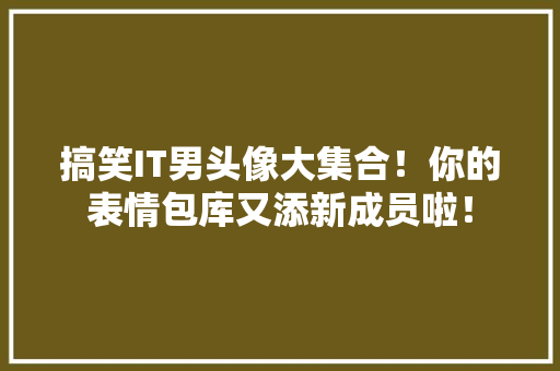 搞笑IT男头像大集合！你的表情包库又添新成员啦！ 必应SEO