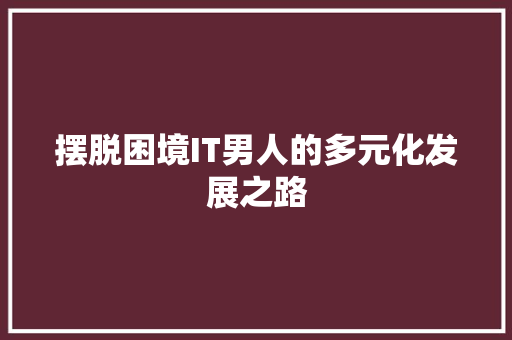 摆脱困境IT男人的多元化发展之路 百度SEO