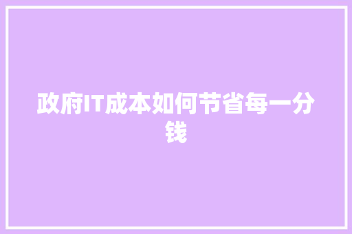 政府IT成本如何节省每一分钱 神马SEO