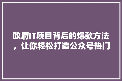 政府IT项目背后的爆款方法，让你轻松打造公众号热门内容！ 神马SEO