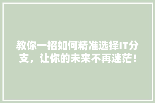 教你一招如何精准选择IT分支，让你的未来不再迷茫！ 必应SEO