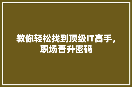 教你轻松找到顶级IT高手，职场晋升密码 神马SEO