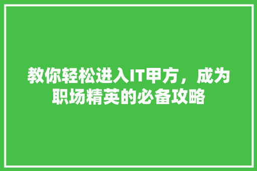 教你轻松进入IT甲方，成为职场精英的必备攻略 百度SEO