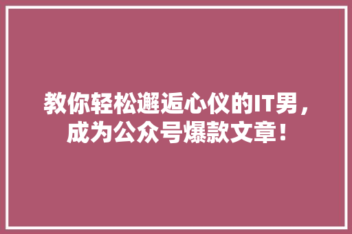 教你轻松邂逅心仪的IT男，成为公众号爆款文章！ 百度SEO
