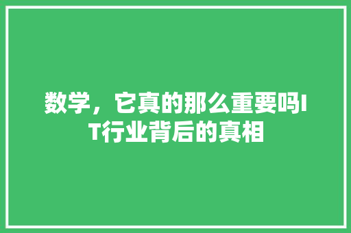 数学，它真的那么重要吗IT行业背后的真相 必应SEO