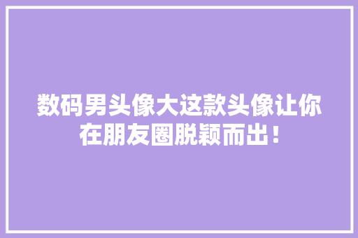 数码男头像大这款头像让你在朋友圈脱颖而出！ 必应SEO
