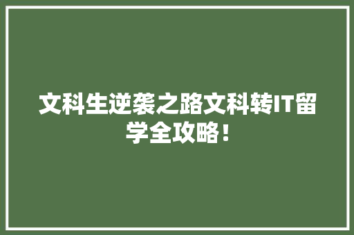 文科生逆袭之路文科转IT留学全攻略！ 神马SEO