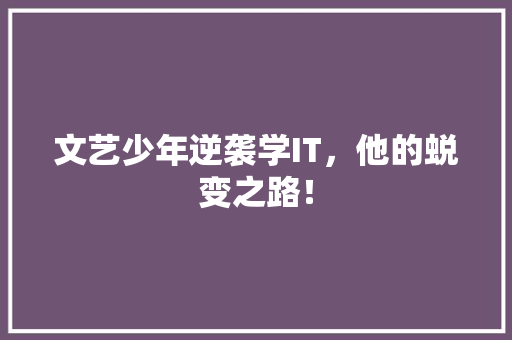 文艺少年逆袭学IT，他的蜕变之路！ 搜狗SEO
