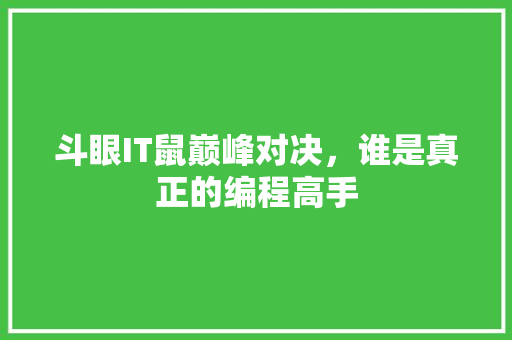 斗眼IT鼠巅峰对决，谁是真正的编程高手 神马SEO