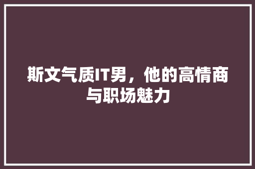 斯文气质IT男，他的高情商与职场魅力 GoogleSEO