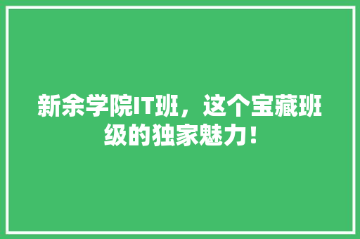 新余学院IT班，这个宝藏班级的独家魅力！ 神马SEO