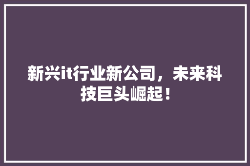 新兴it行业新公司，未来科技巨头崛起！ 神马SEO