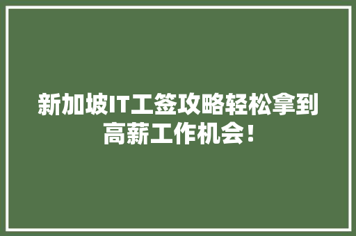 新加坡IT工签攻略轻松拿到高薪工作机会！ GoogleSEO