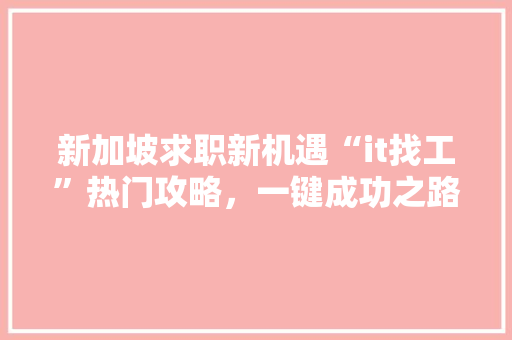 新加坡求职新机遇“it找工”热门攻略，一键成功之路！ 神马SEO