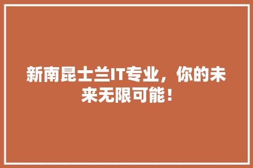 新南昆士兰IT专业，你的未来无限可能！ 百度SEO