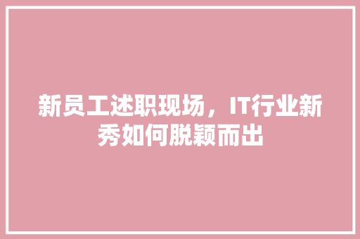 新员工述职现场，IT行业新秀如何脱颖而出 GoogleSEO